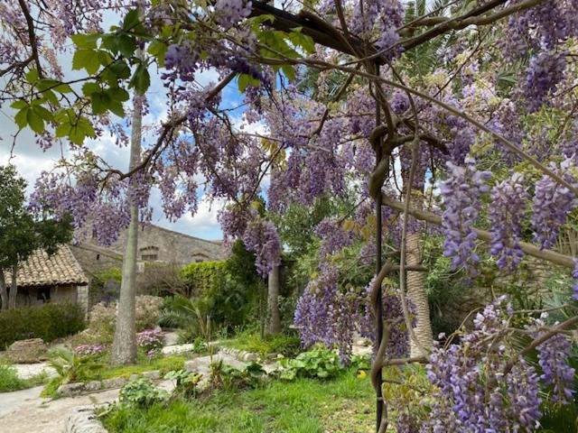 מודיקה B&B Etico La Casa Di Toti מראה חיצוני תמונה